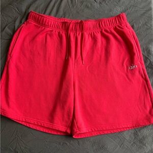 Alo Terry Sweatshorts | Men’s 2XL